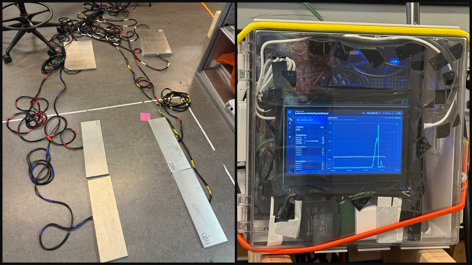 Lameness detection circuit for cows
